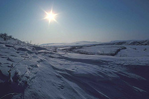 Snow scene Sun